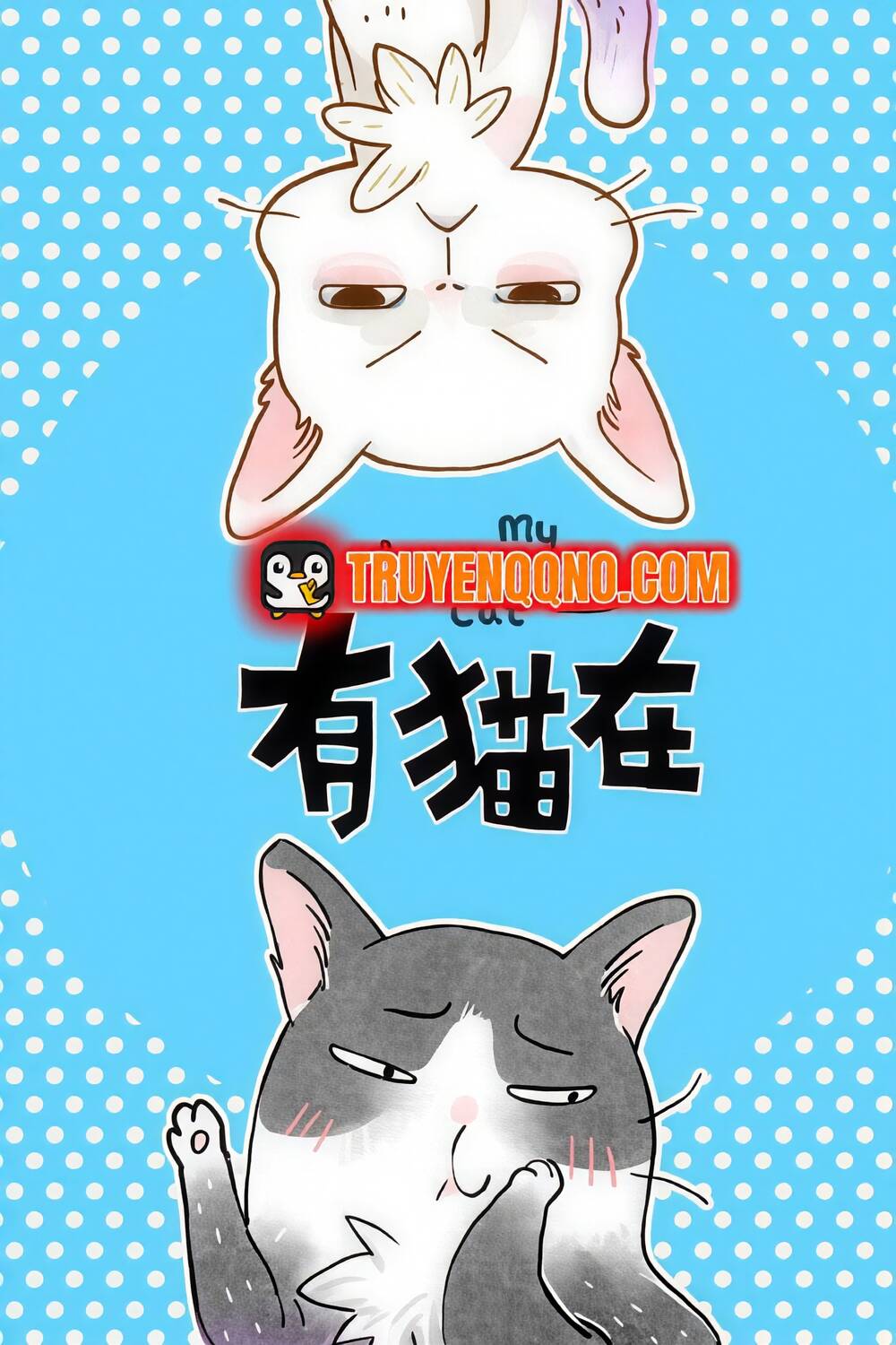 Ở Đây Có Mèo